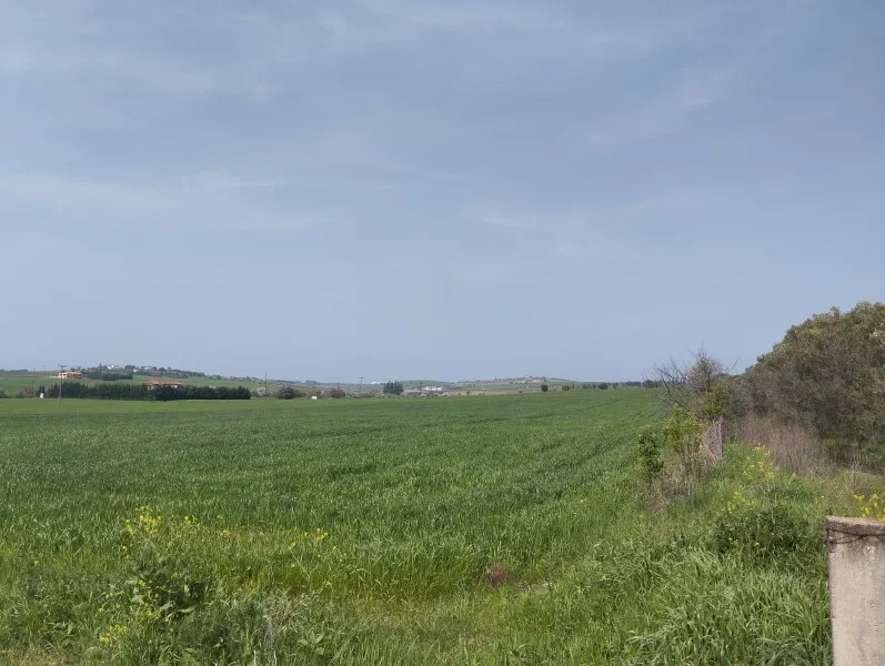 γη προς πώληση 5881 τ.μ Επανωμή Προάστια Θεσσαλονίκης