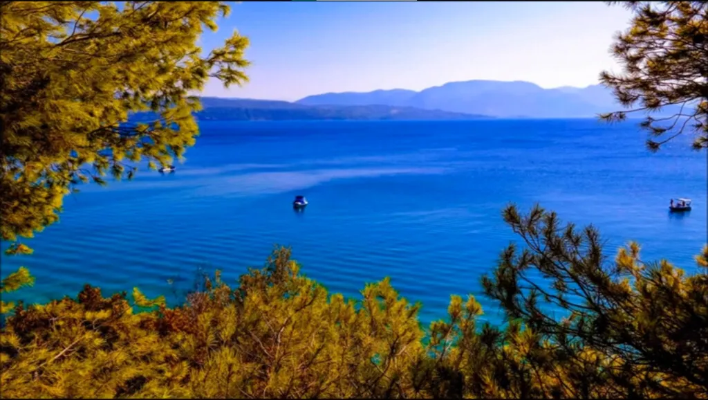 γη προς πώληση 1020 τ.μ Μαλεσίνα Φθιώτιδα