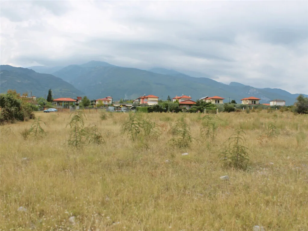 γη προς πώληση 12179 τ.μ Ανατολικός Όλυμπος Νομός Πιερίας