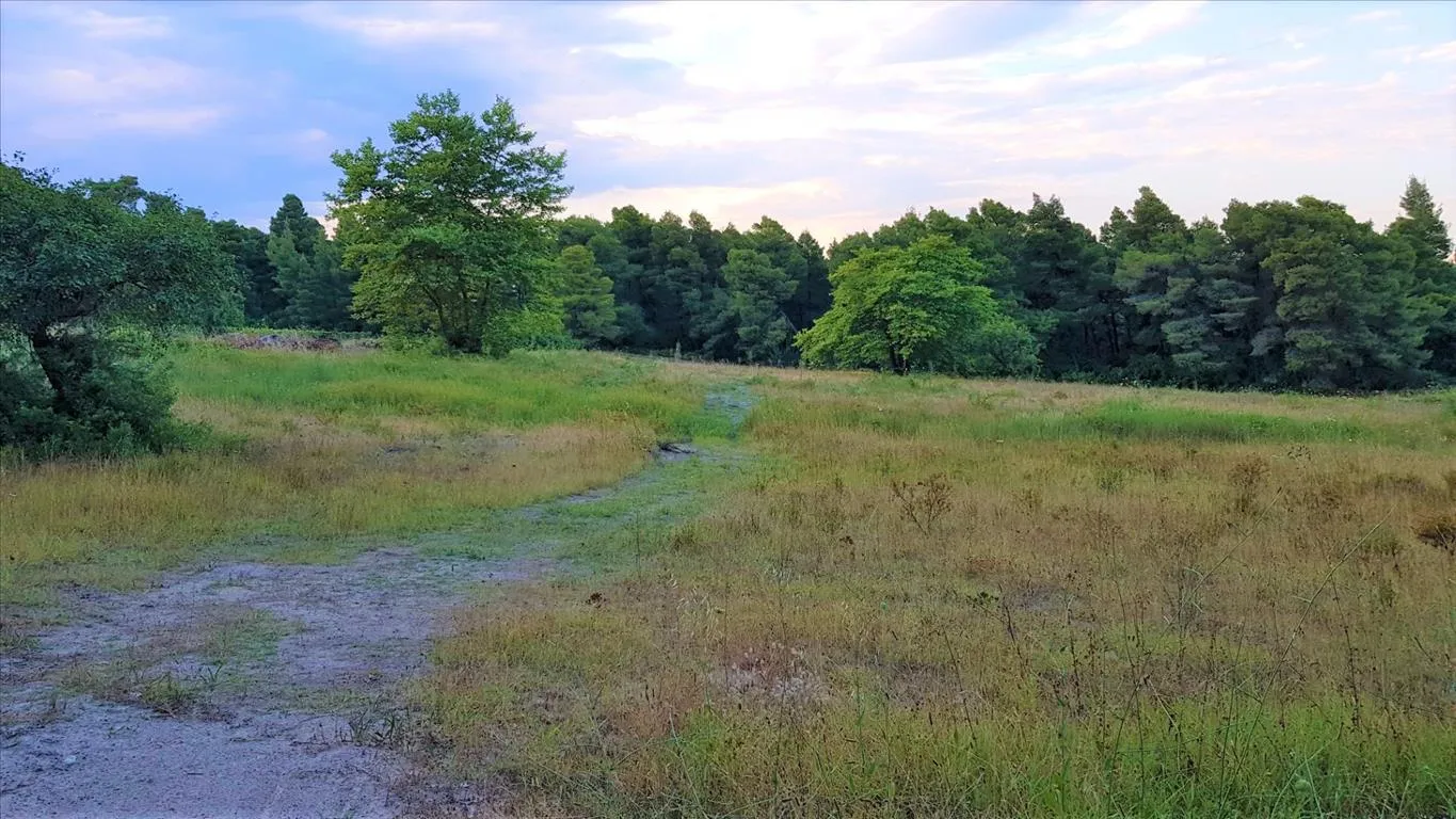 γη προς πώληση 19895 τ.μ Σιθωνία Χαλκιδική