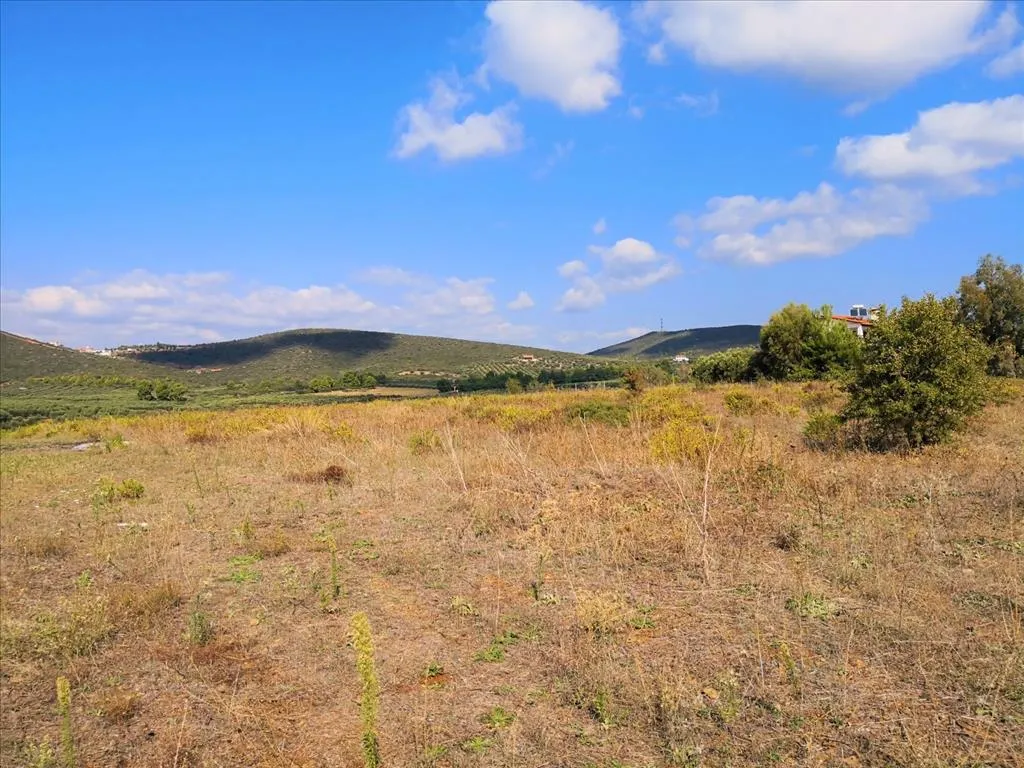 γη προς πώληση 30600 τ.μ Πολύγυρος Χαλκιδική