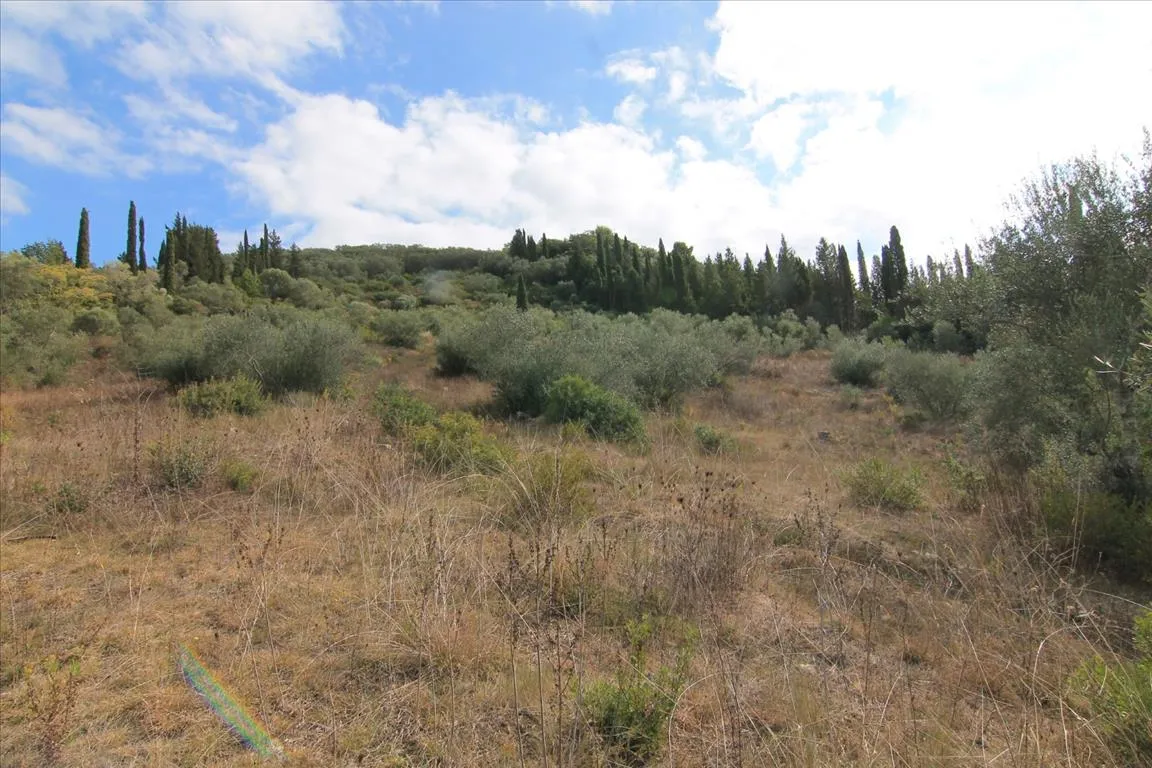 γη προς πώληση 15000 τ.μ Κέρκυρα Νομός Κέρκυρας