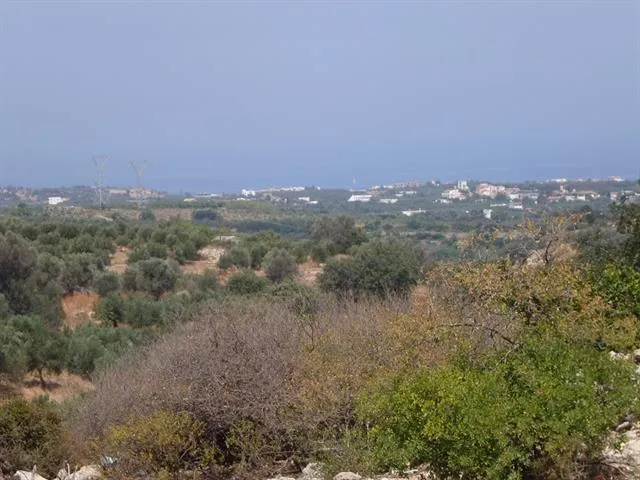 γη προς πώληση 6700 τ.μ Αρκάδι Νομός Ρεθύμνου