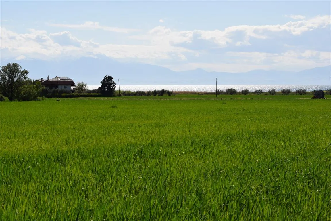 γη προς πώληση 27000 τ.μ Επανωμή Προάστια Θεσσαλονίκης