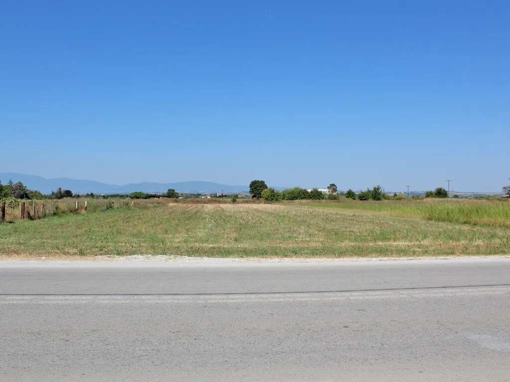 γη προς πώληση 4800 τ.μ Κορινός Νομός Πιερίας