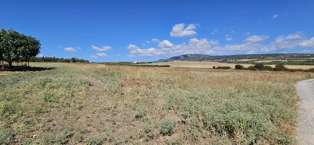 γη προς πώληση 8400 τ.μ Νέα Προποντίδα Χαλκιδική