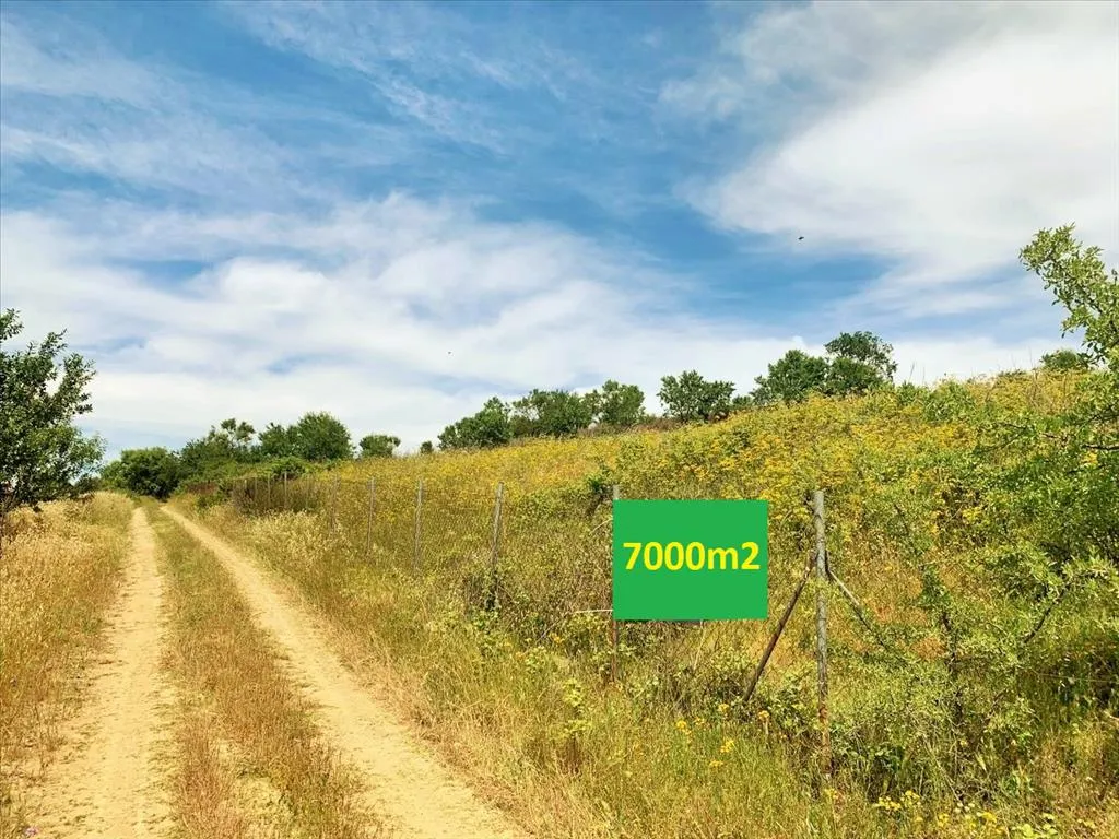 γη προς πώληση 7000 τ.μ Μίκρα Προάστια Θεσσαλονίκης