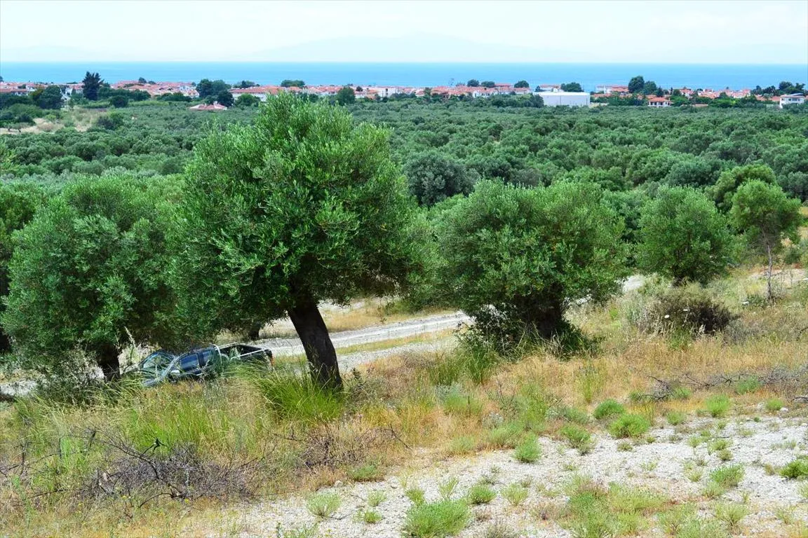 γη προς πώληση 5175 τ.μ Κασσάνδρα Χαλκιδική