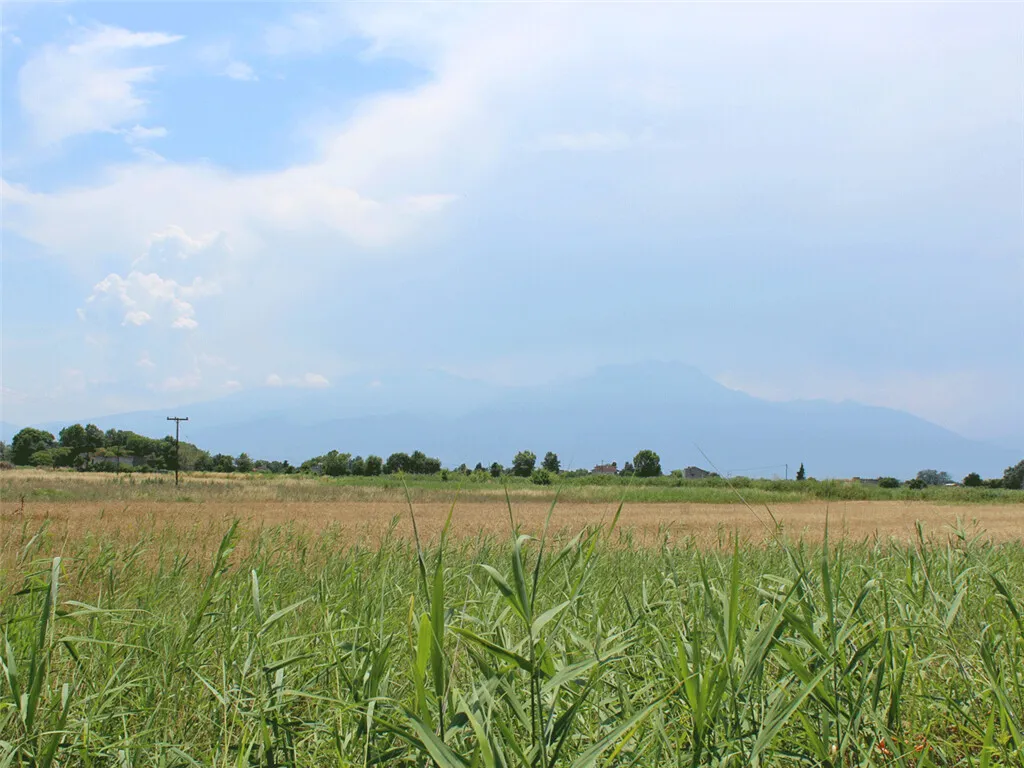 γη προς πώληση 11165 τ.μ Κατερίνη Νομός Πιερίας