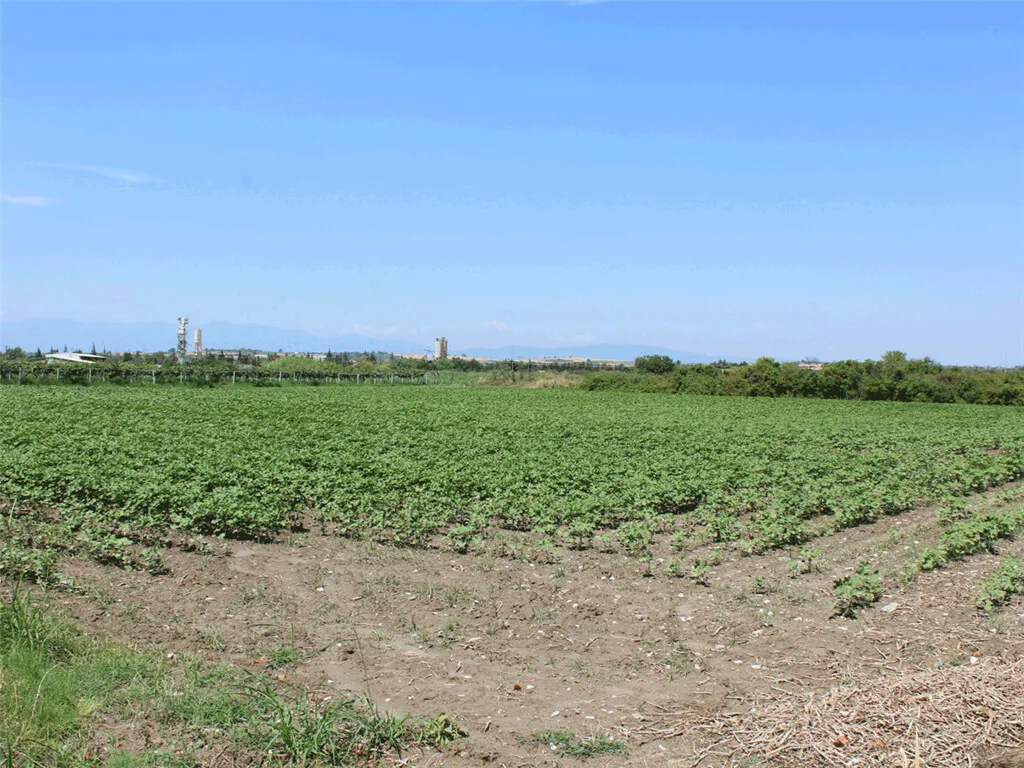 γη προς πώληση 11300 τ.μ Κατερίνη Νομός Πιερίας