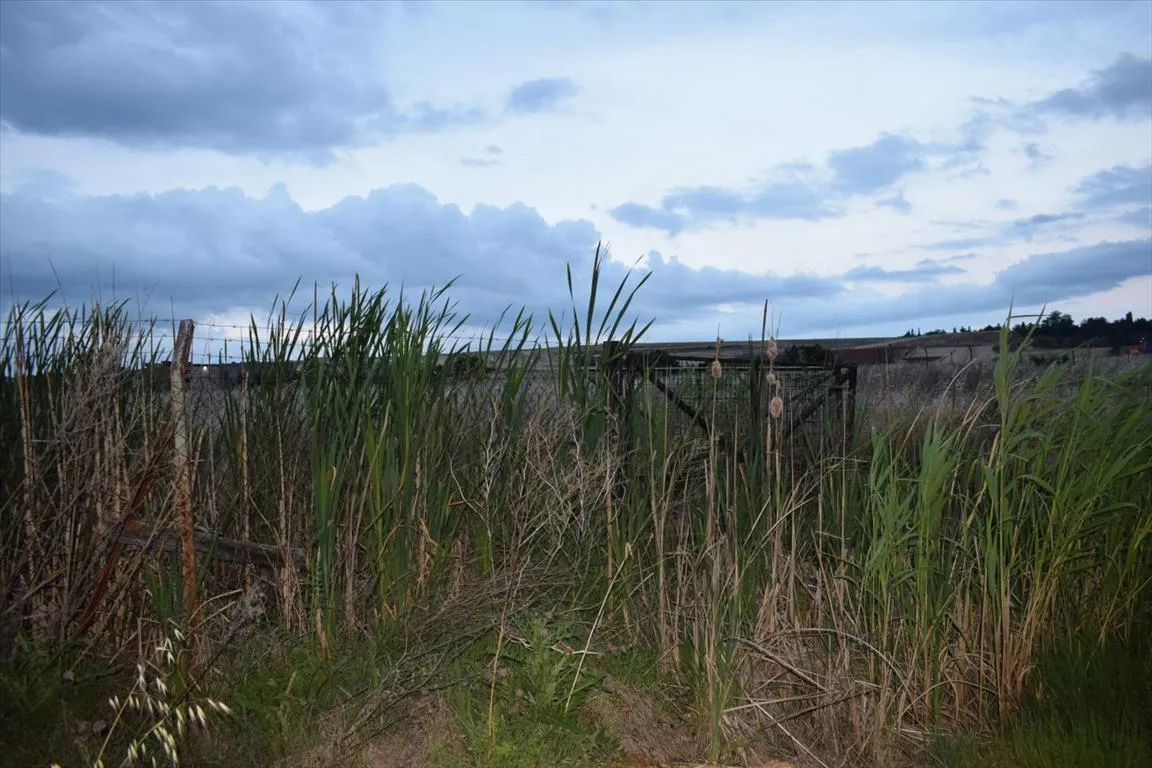 γη προς πώληση 5870 τ.μ Ελευθέριο-Κορδελιό Προάστια Θεσσαλονίκης