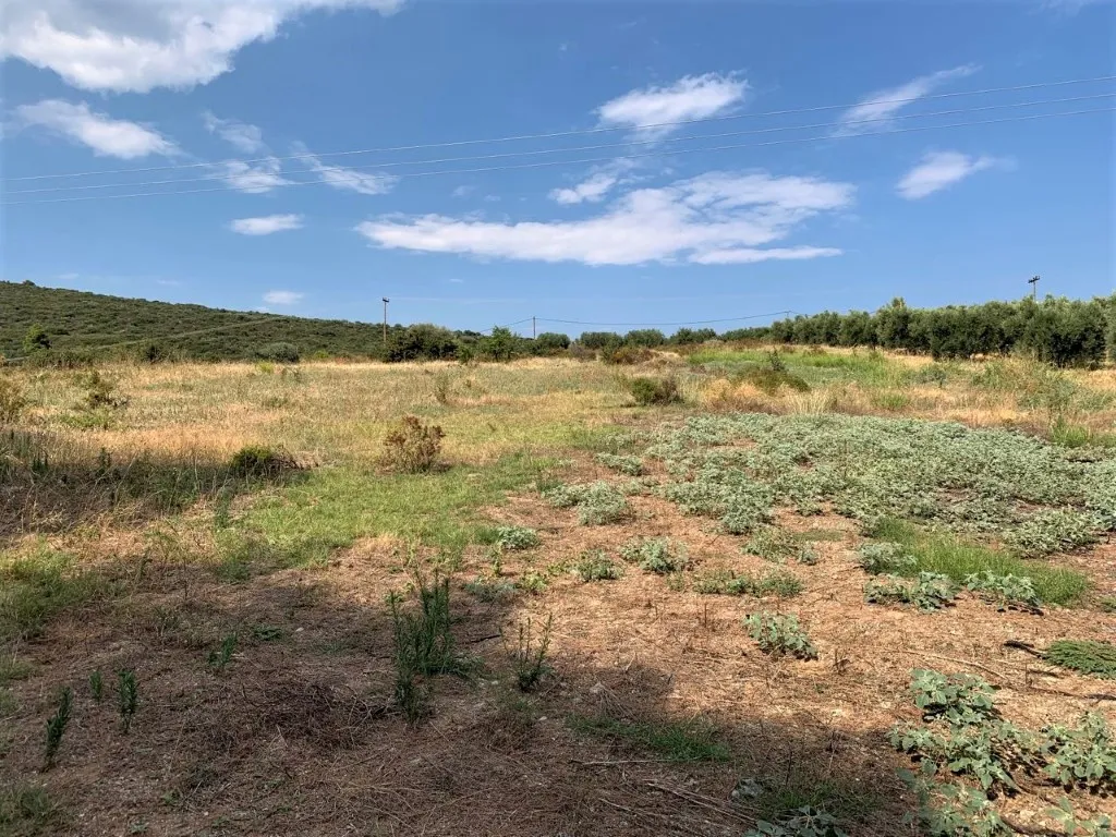 γη προς πώληση 5301 τ.μ Πολύγυρος Χαλκιδική
