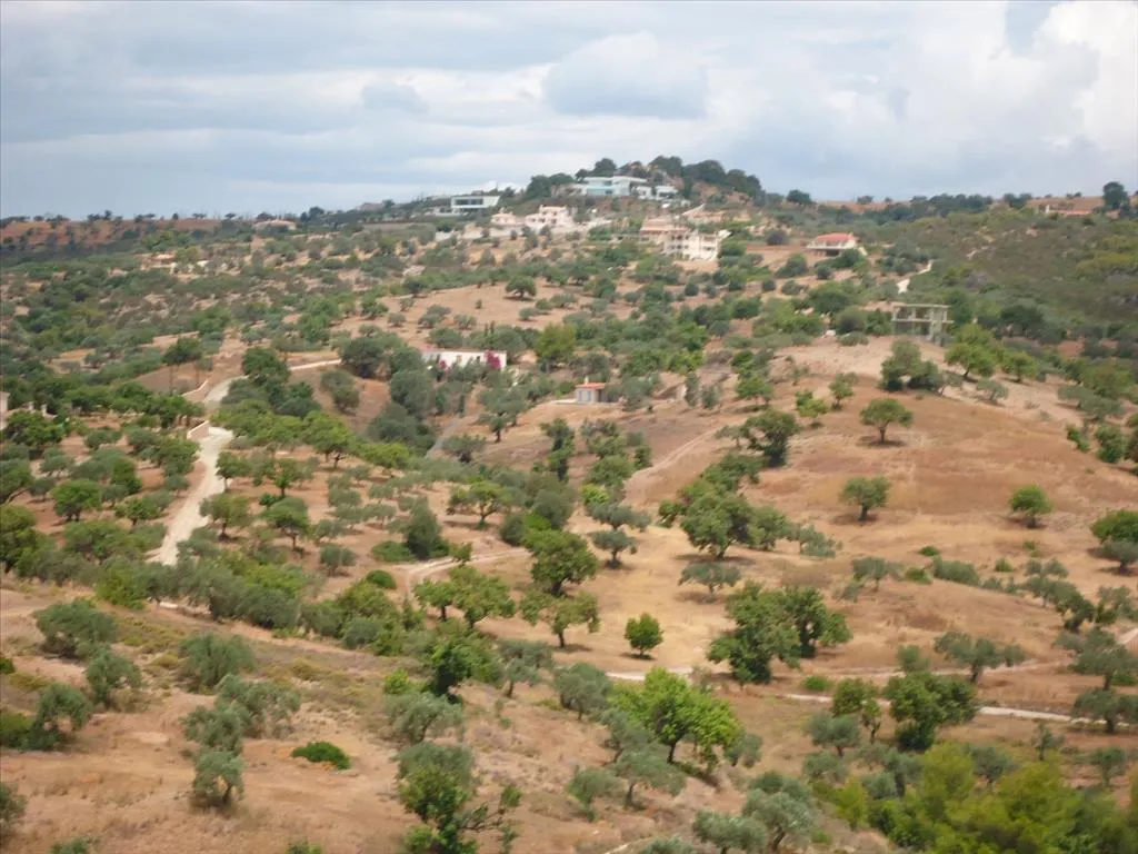 γη προς πώληση 6000 τ.μ Κρανίδι Αργολίδα