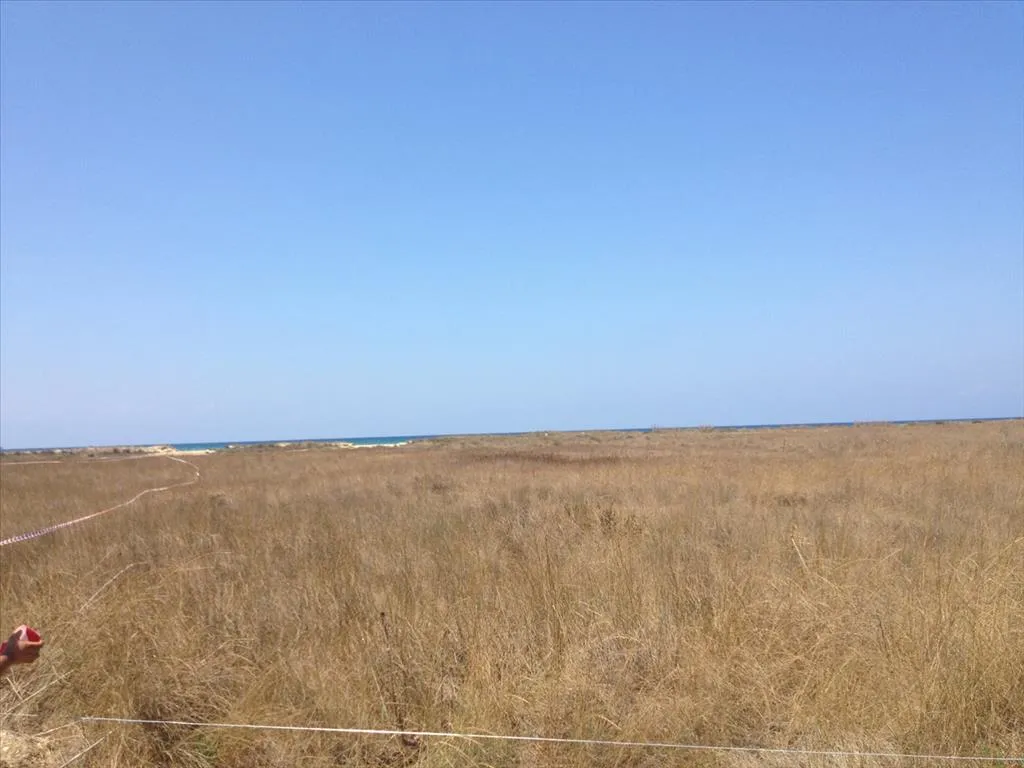 γη προς πώληση 14000 τ.μ Λεχαινά Ηλεία