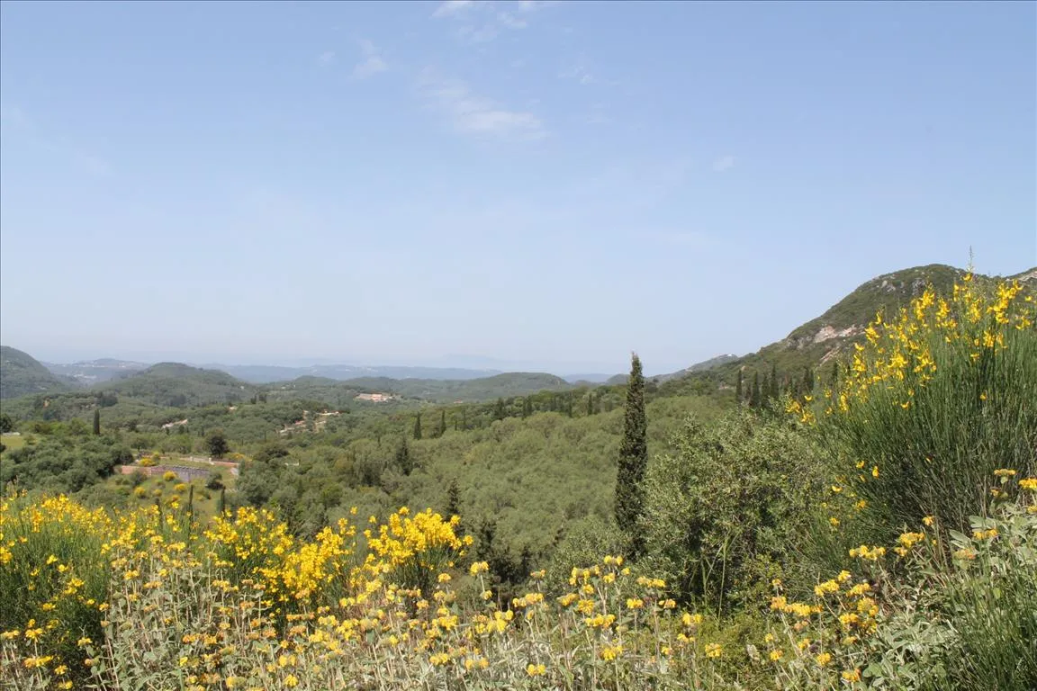 γη προς πώληση 5000 τ.μ Κέρκυρα Νομός Κέρκυρας