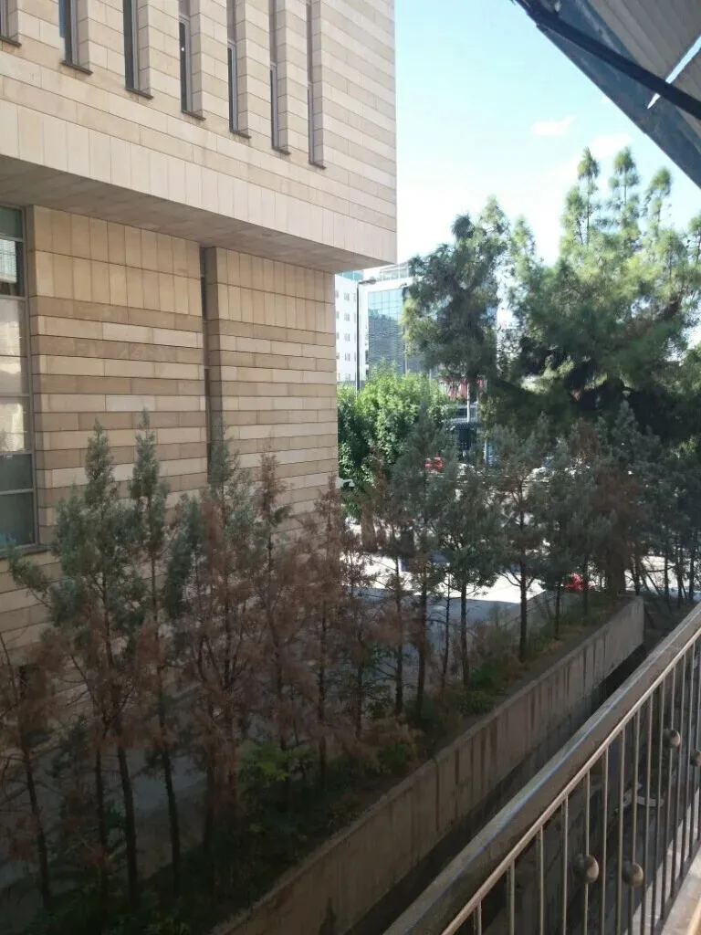 εμπορικό ακίνητο προς πώληση 62 τ.μ Νέος Κόσμος Κέντρο Αθήνας