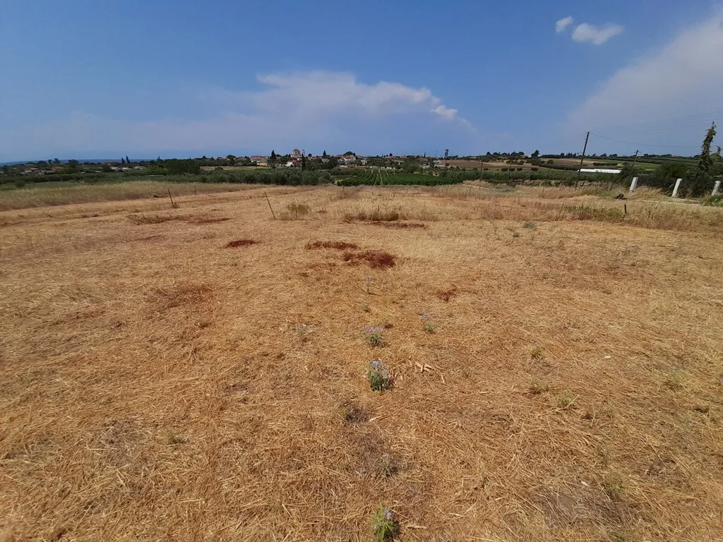 γη προς πώληση 468 τ.μ Νέα Προποντίδα Χαλκιδική