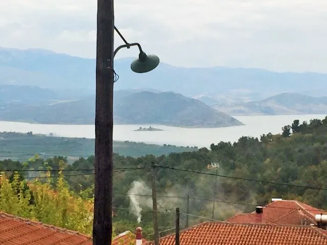 επιχείρηση προς πώληση 175 τ.μ Βεγορίτιδα Πέλλα