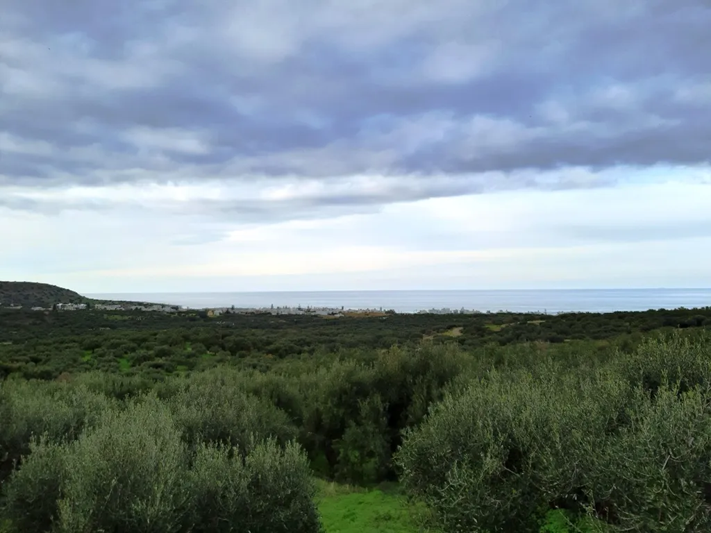 γη προς πώληση 1116 τ.μ Νεάπολη Νομός Λασιθίου