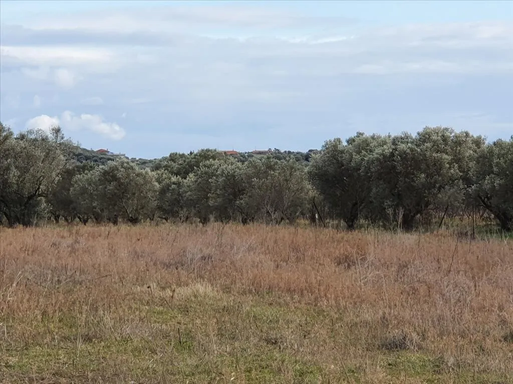 γη προς πώληση 2000 τ.μ Νέα Προποντίδα Χαλκιδική