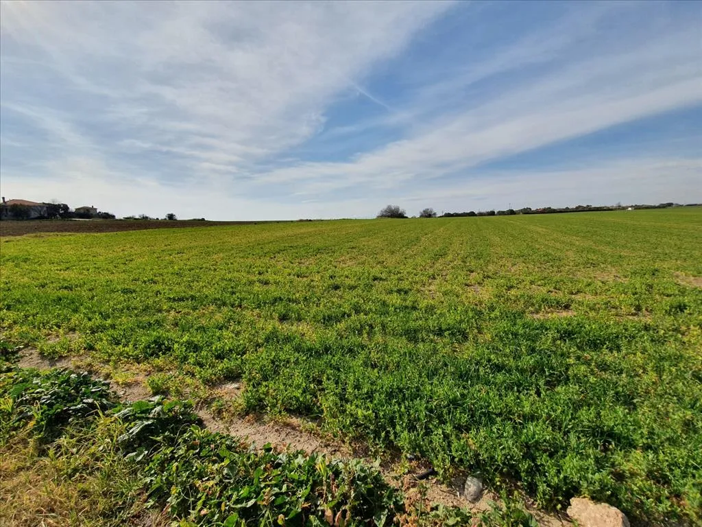 γη προς πώληση 20000 τ.μ Νέα Προποντίδα Χαλκιδική