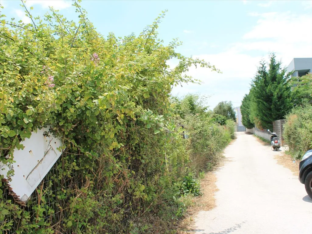 γη προς πώληση 1200 τ.μ  Αχαΐα