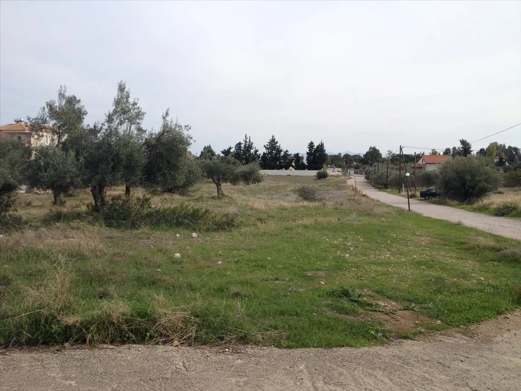 γη προς πώληση 7069 τ.μ Άγιοι Θεόδωροι Κορινθία