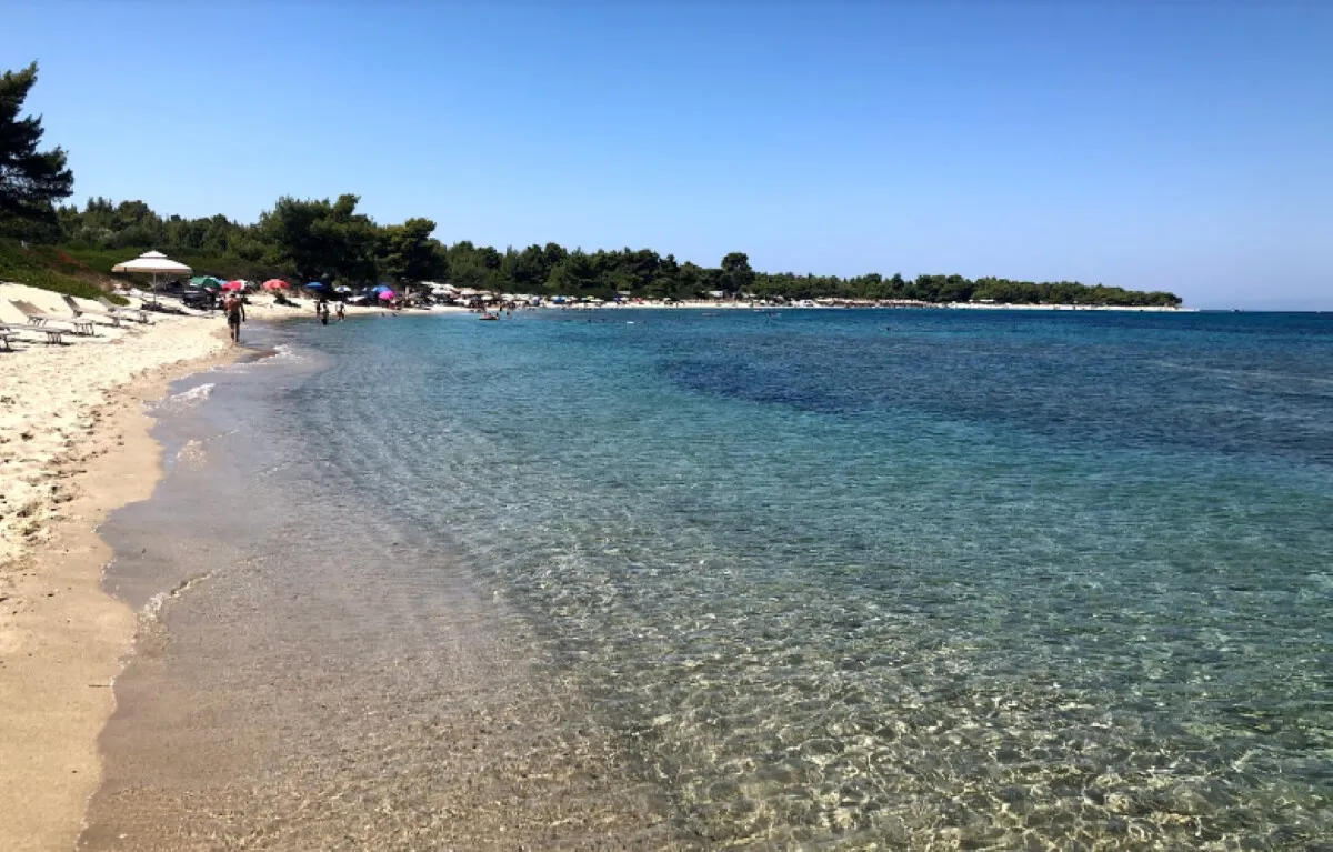 γη προς πώληση 50000 τ.μ Κασσάνδρα Χαλκιδική