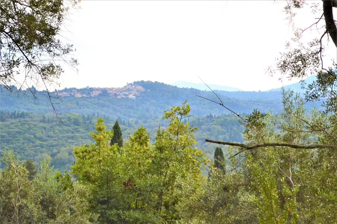 γη προς πώληση 3136 τ.μ Κέρκυρα Νομός Κέρκυρας