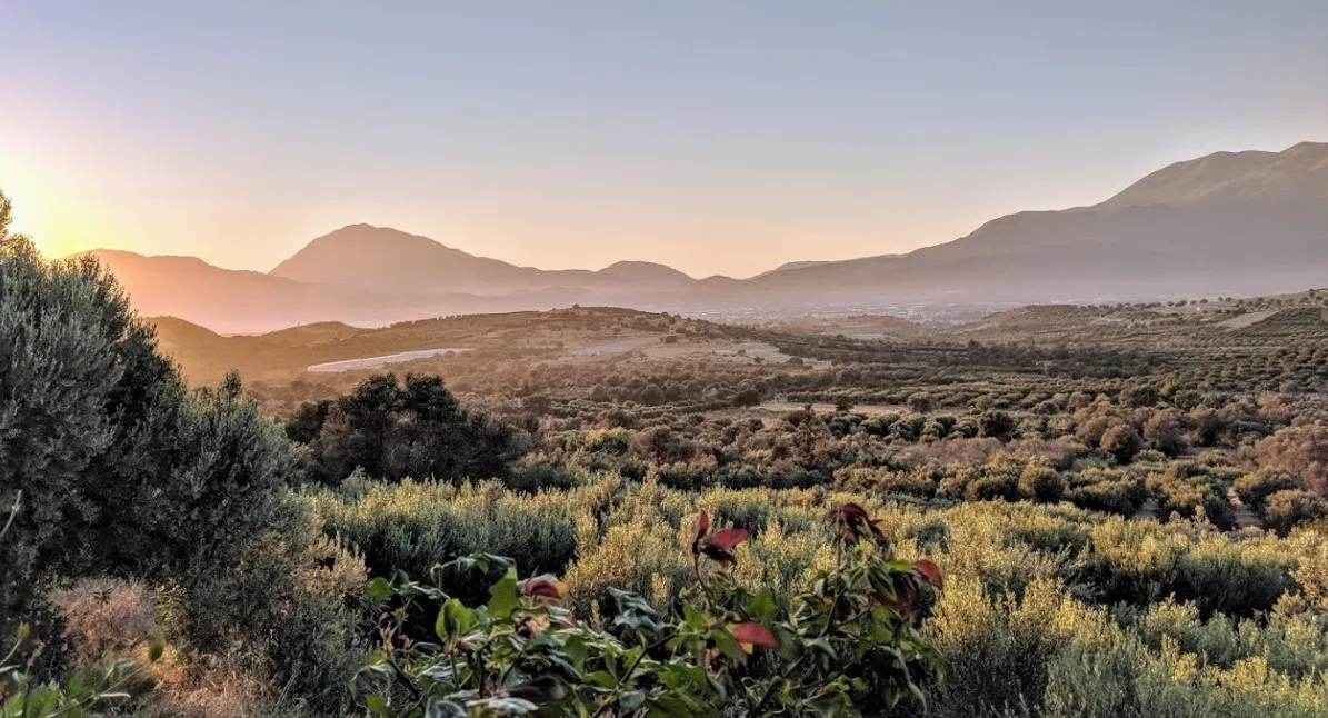 γη προς πώληση 1800 τ.μ Τυμπάκι Νομός Ηρακλείου
