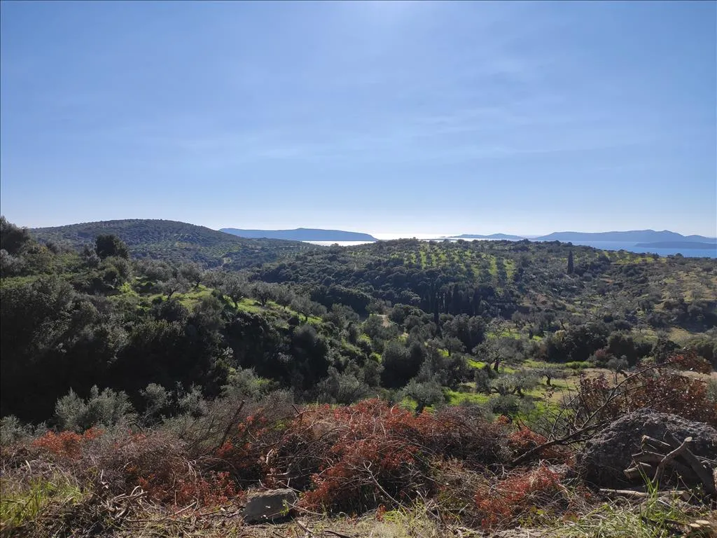 γη προς πώληση 4100 τ.μ Κορώνη Μεσσηνία
