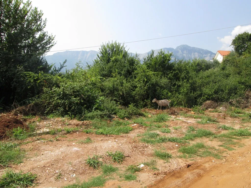 γη προς πώληση 461 τ.μ Θάσος Νομός Καβάλας