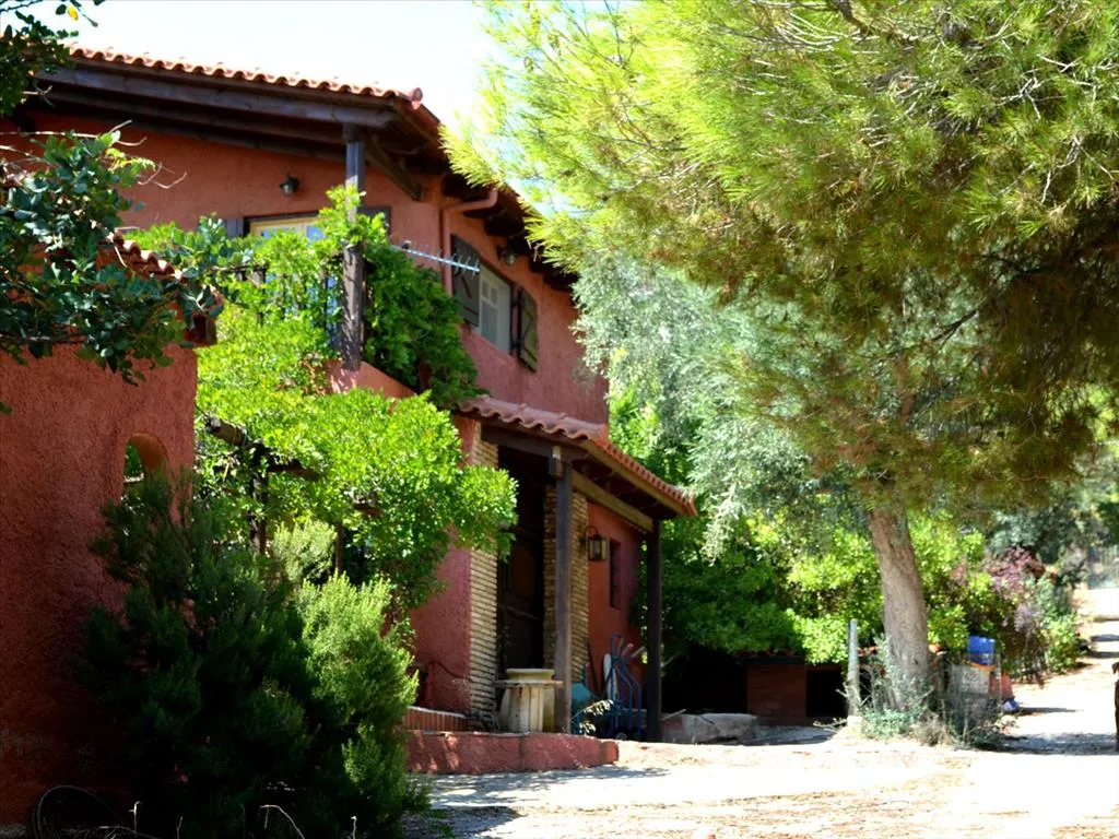 μονοκατοικία προς πώληση 330 τ.μ Παιανία Ανατολικά Αθήνας