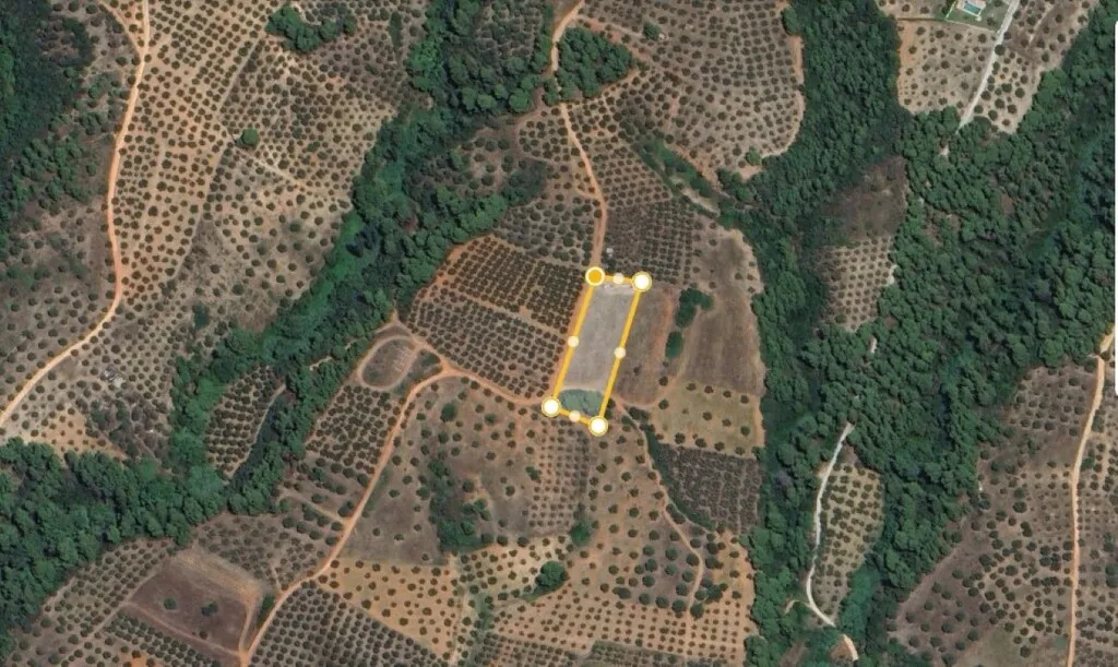 γη προς πώληση 4132 τ.μ Σιθωνία Χαλκιδική