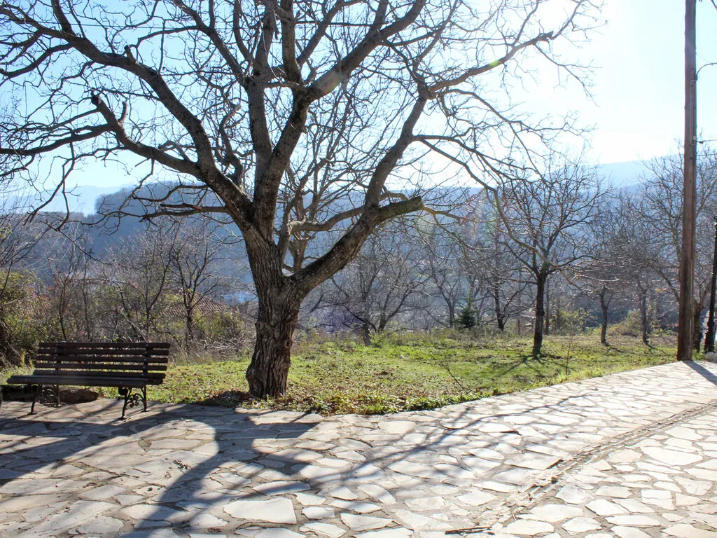 γη προς πώληση 425 τ.μ Κατερίνη Νομός Πιερίας