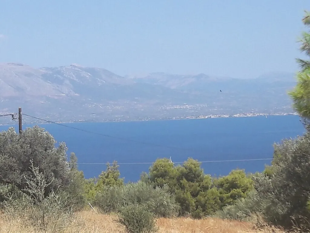 γη προς πώληση 8076 τ.μ Κάλαμος Υπόλοιπη Αττικής