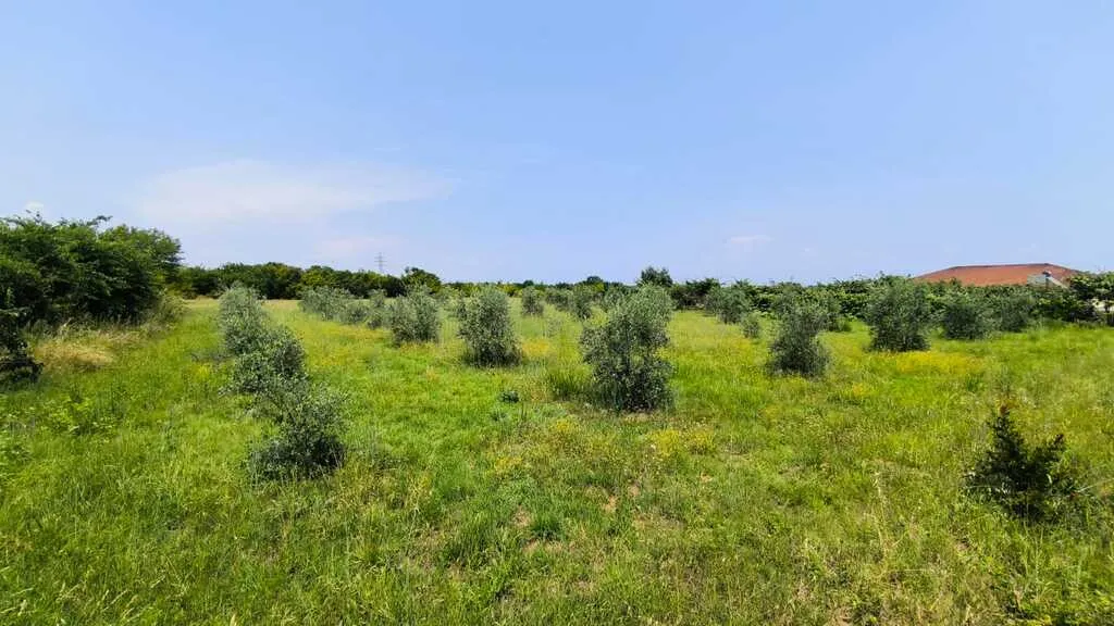 γη προς πώληση 5432 τ.μ Ανατολικός Όλυμπος Νομός Πιερίας