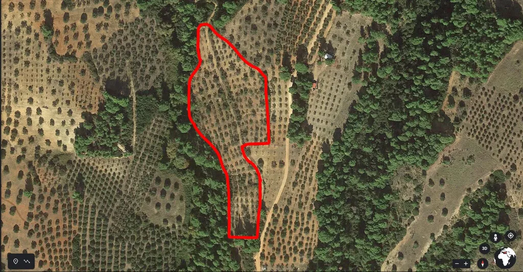 γη προς πώληση 16726 τ.μ Σιθωνία Χαλκιδική