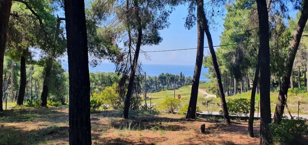 βίλα προς πώληση 440 τ.μ Κασσάνδρα Χαλκιδική