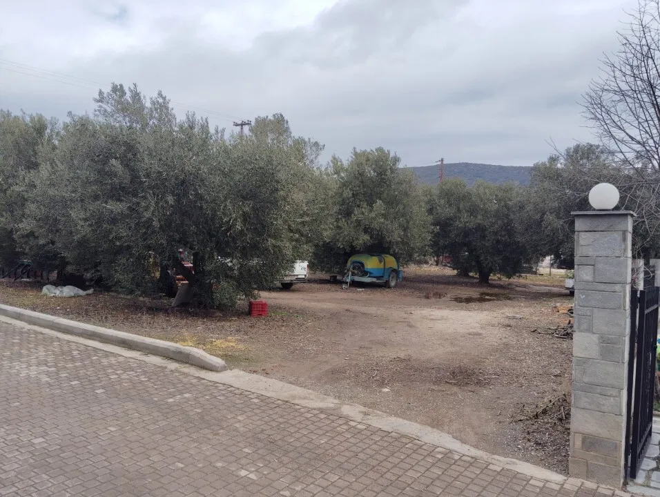 γη προς πώληση 1305 τ.μ Πολύγυρος Χαλκιδική