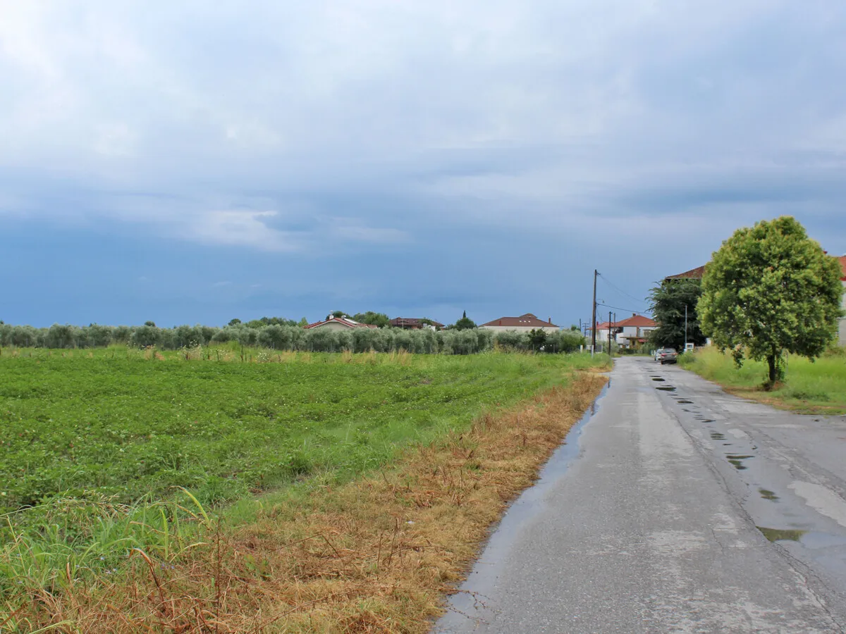 γη προς πώληση 6250 τ.μ Παραλία Νομός Πιερίας