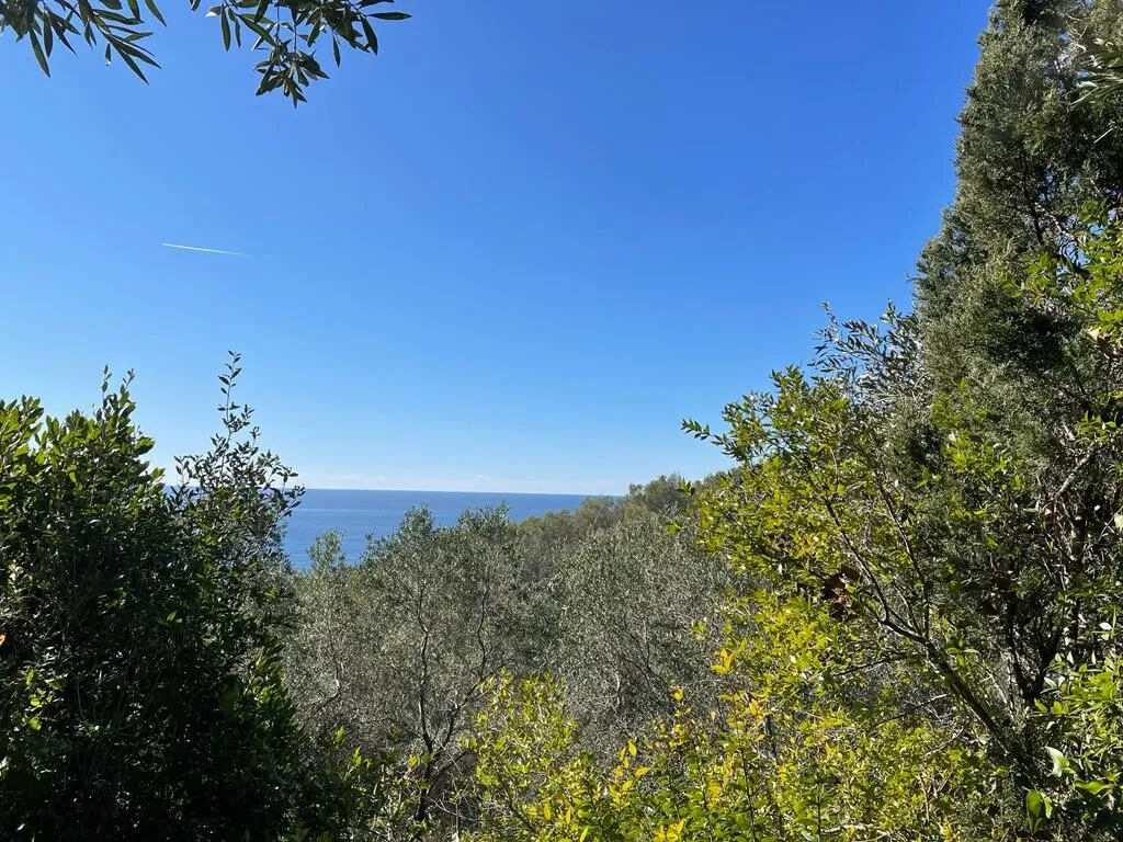 γη προς πώληση 35000 τ.μ Κέρκυρα Νομός Κέρκυρας