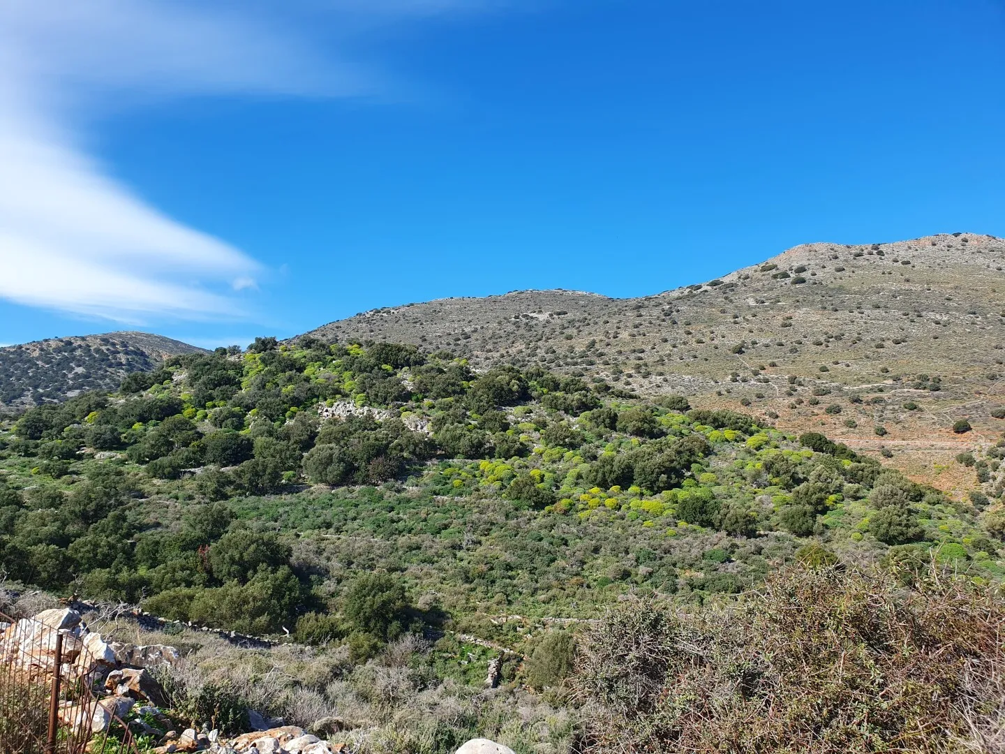 γη προς πώληση 40085 τ.μ Άγιος Νικόλαος Νομός Λασιθίου