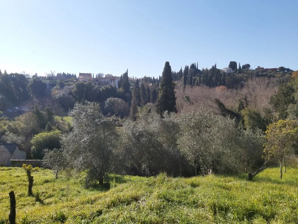 γη προς πώληση 9000 τ.μ Κέρκυρα Νομός Κέρκυρας