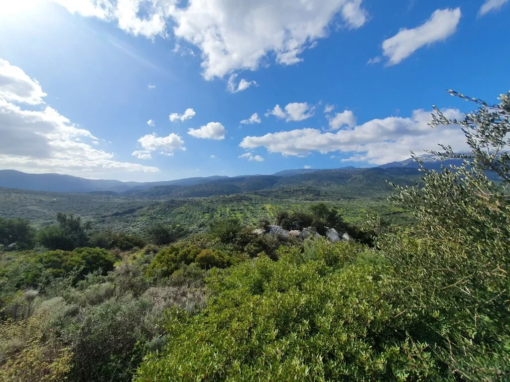γη προς πώληση 4790 τ.μ Άγιος Νικόλαος Νομός Λασιθίου