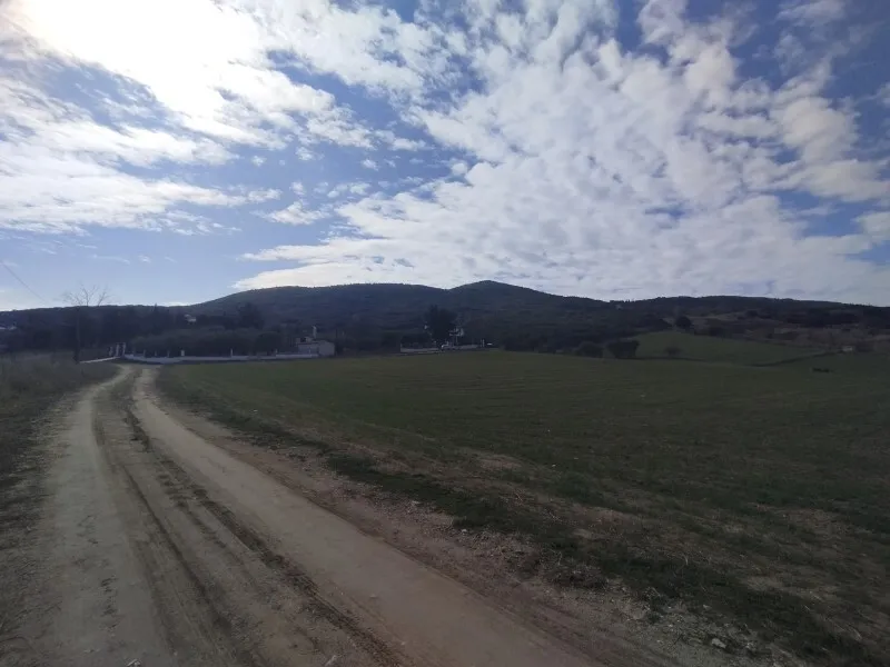 γη προς πώληση 6000 τ.μ Θέρμη Προάστια Θεσσαλονίκης