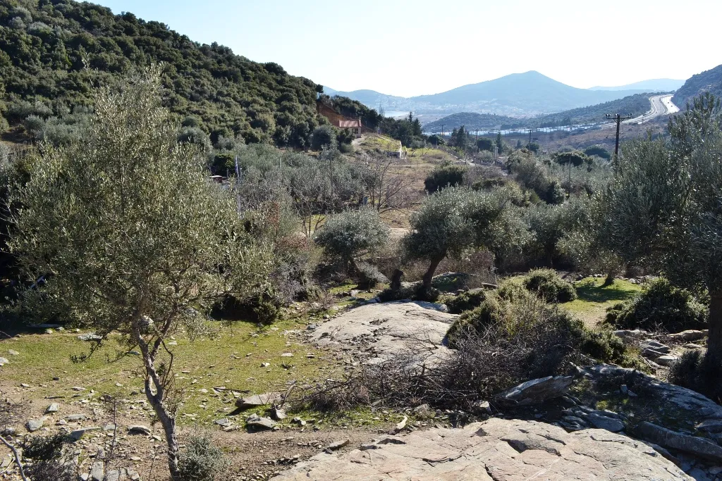 γη προς πώληση 4000 τ.μ Ελευθερές Νομός Καβάλας