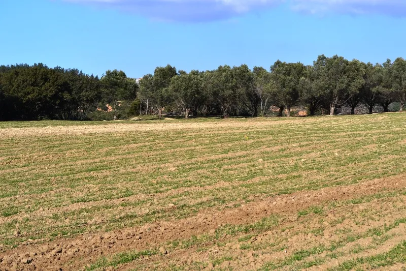 γη προς πώληση 5800 τ.μ Μίκρα Προάστια Θεσσαλονίκης