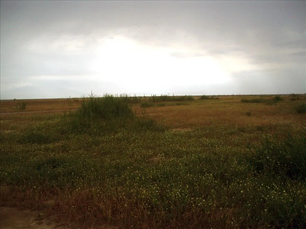 γη προς πώληση 10000 τ.μ Άγιος Γεώργιος Υπόλοιπο Νομού Θεσσαλονίκης