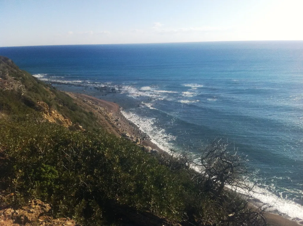 γη προς πώληση 15000 τ.μ Ρόδος Δωδεκάνησα